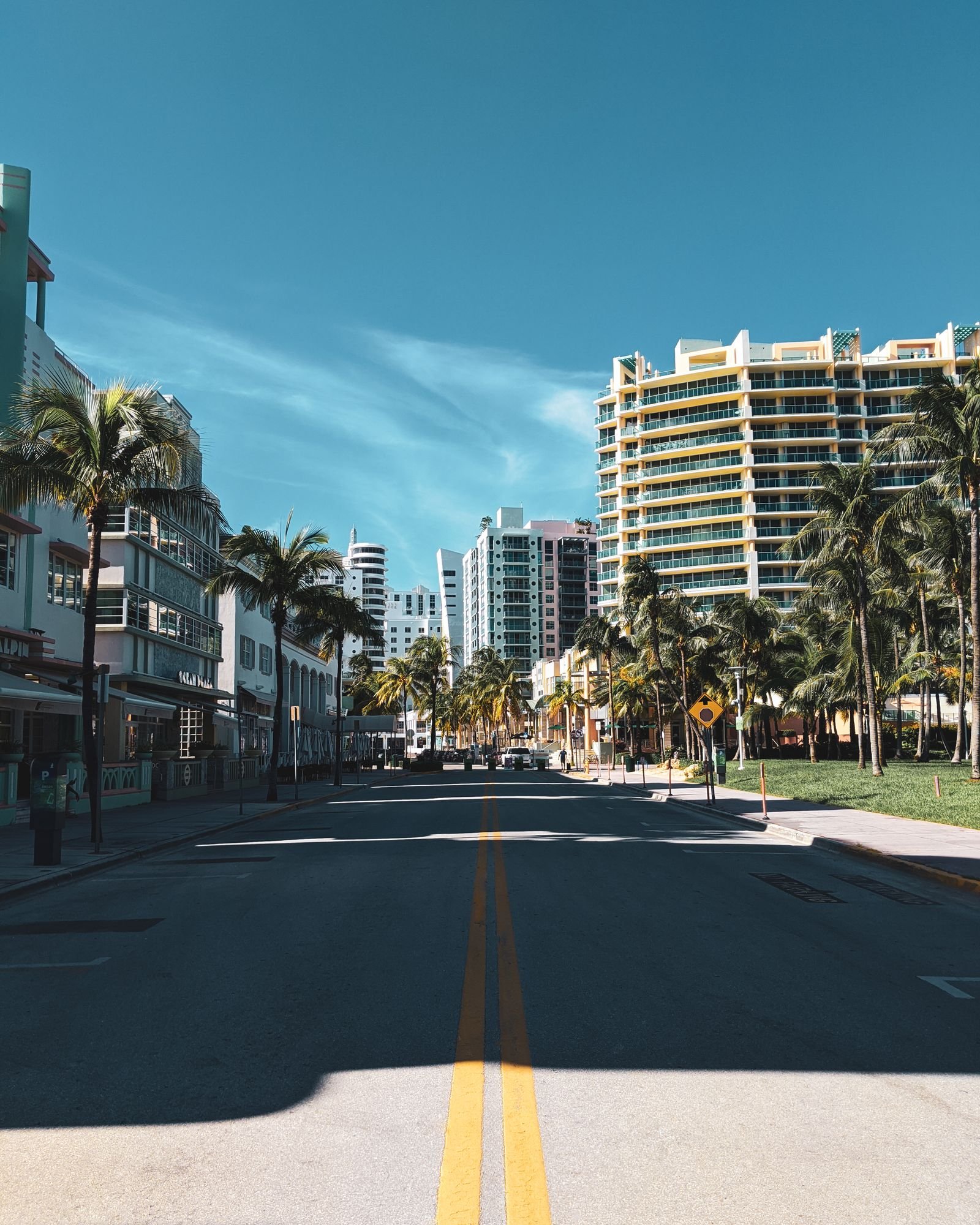 Sunny Florida street scene representing local demand for window tint services