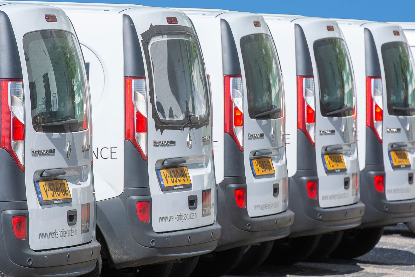 Branded fleet of wrapped vans parked in a row for a Florida business