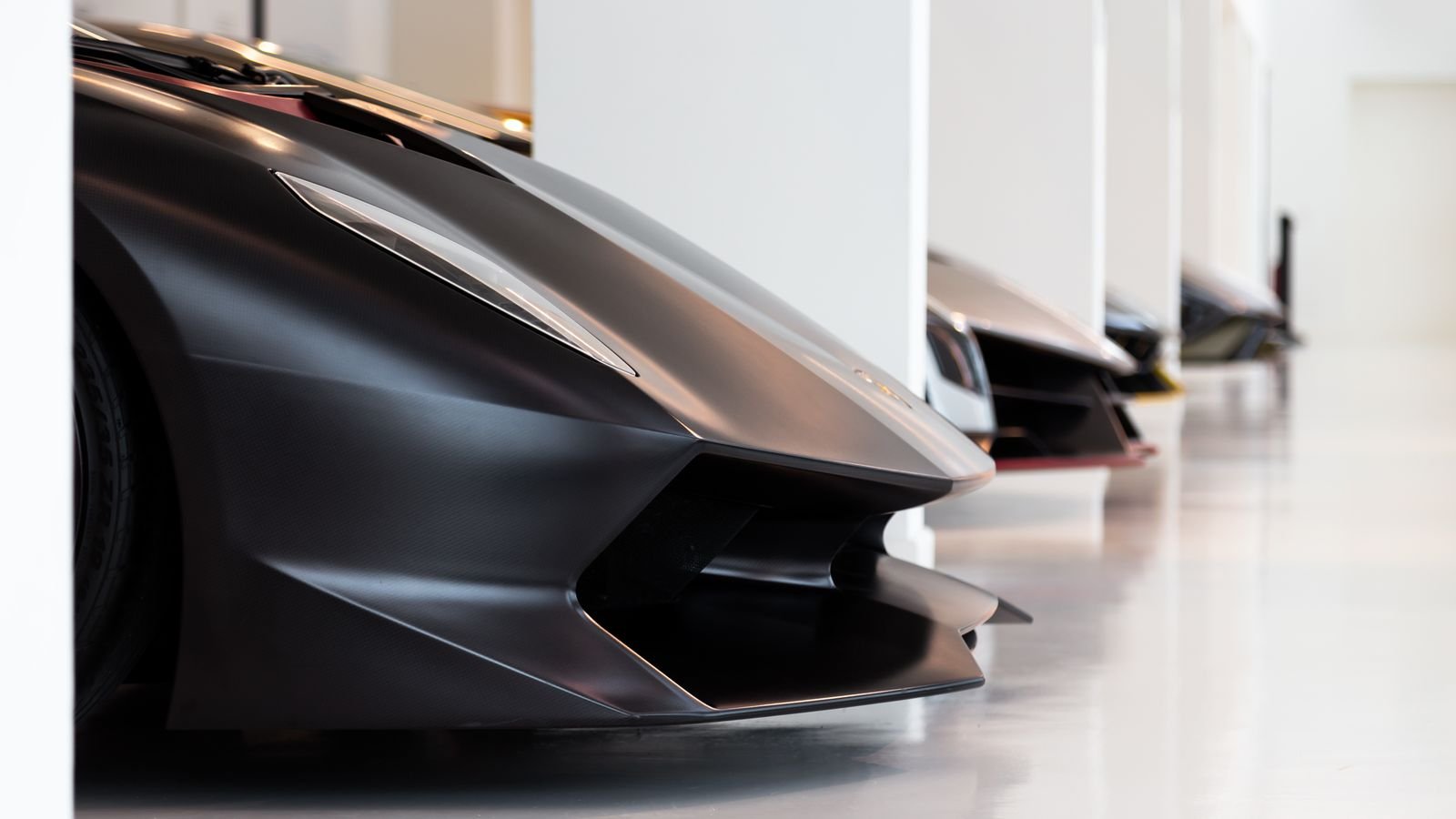 Exotic car rental fleet displayed in a showroom-style lineup in Florida