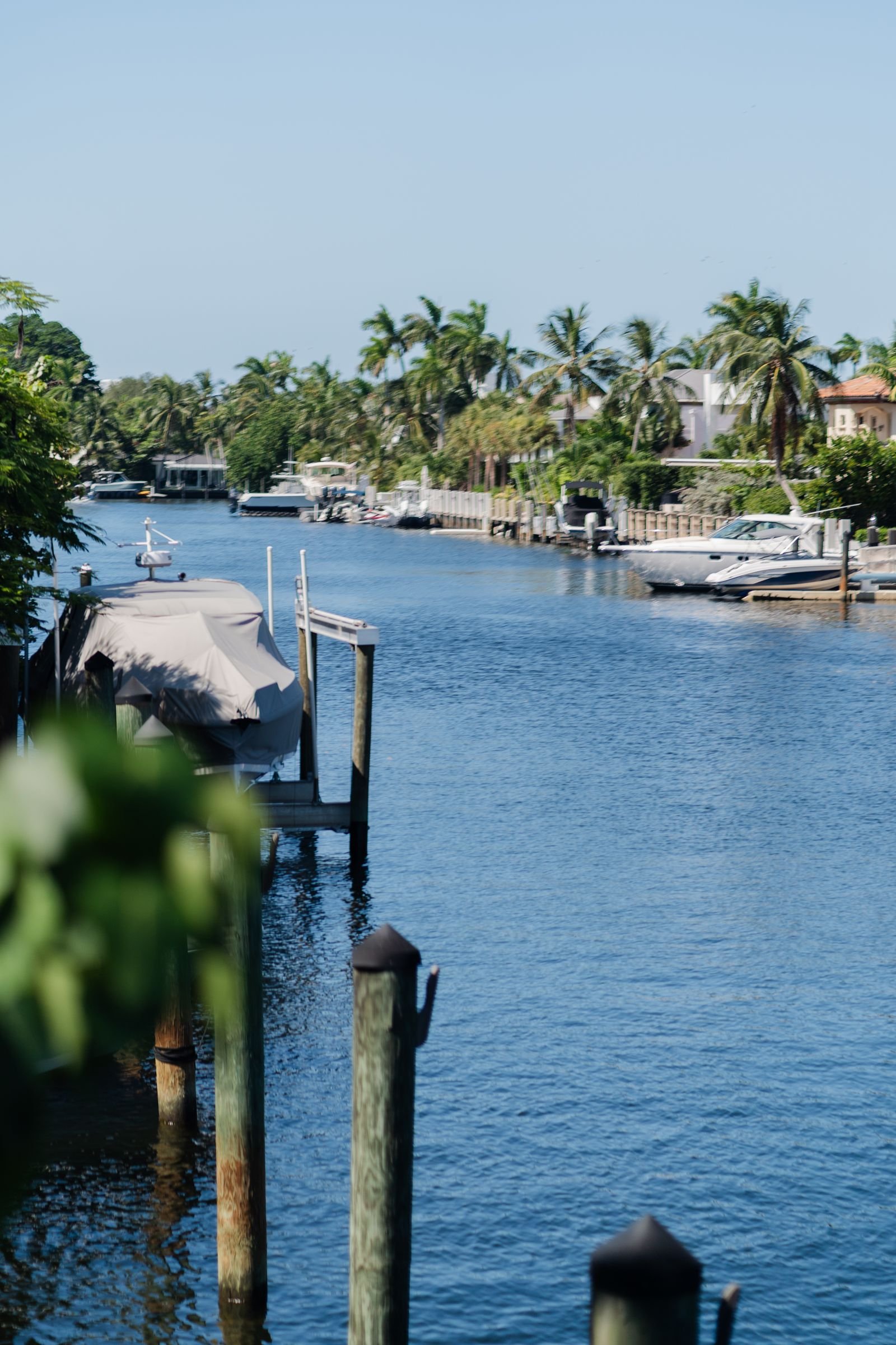 Scenic canal and palm trees in Fort Lauderdale Florida near local window tint businesses