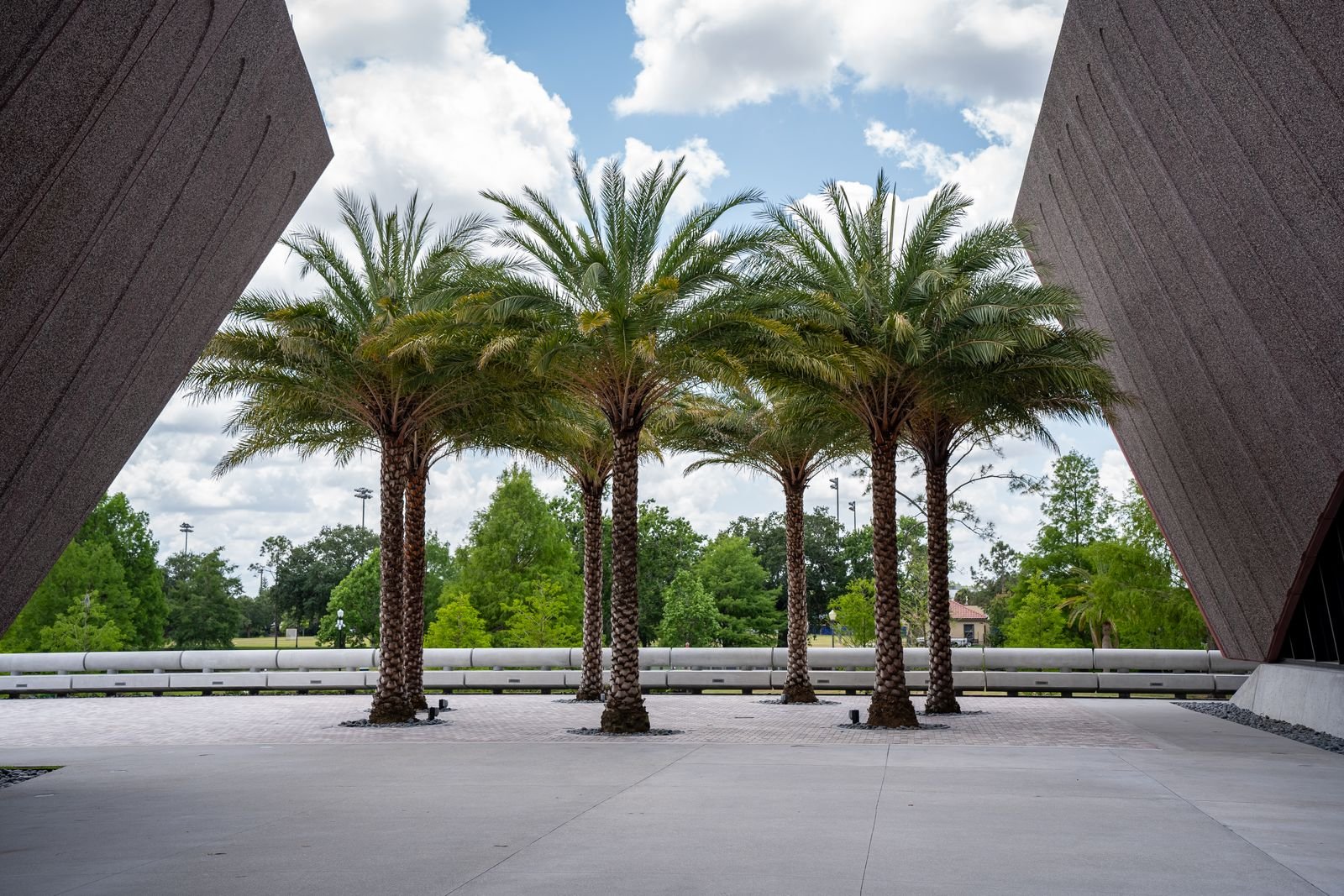 Palm trees among modern architecture in Orlando Florida, a backdrop for exotic car rental photography