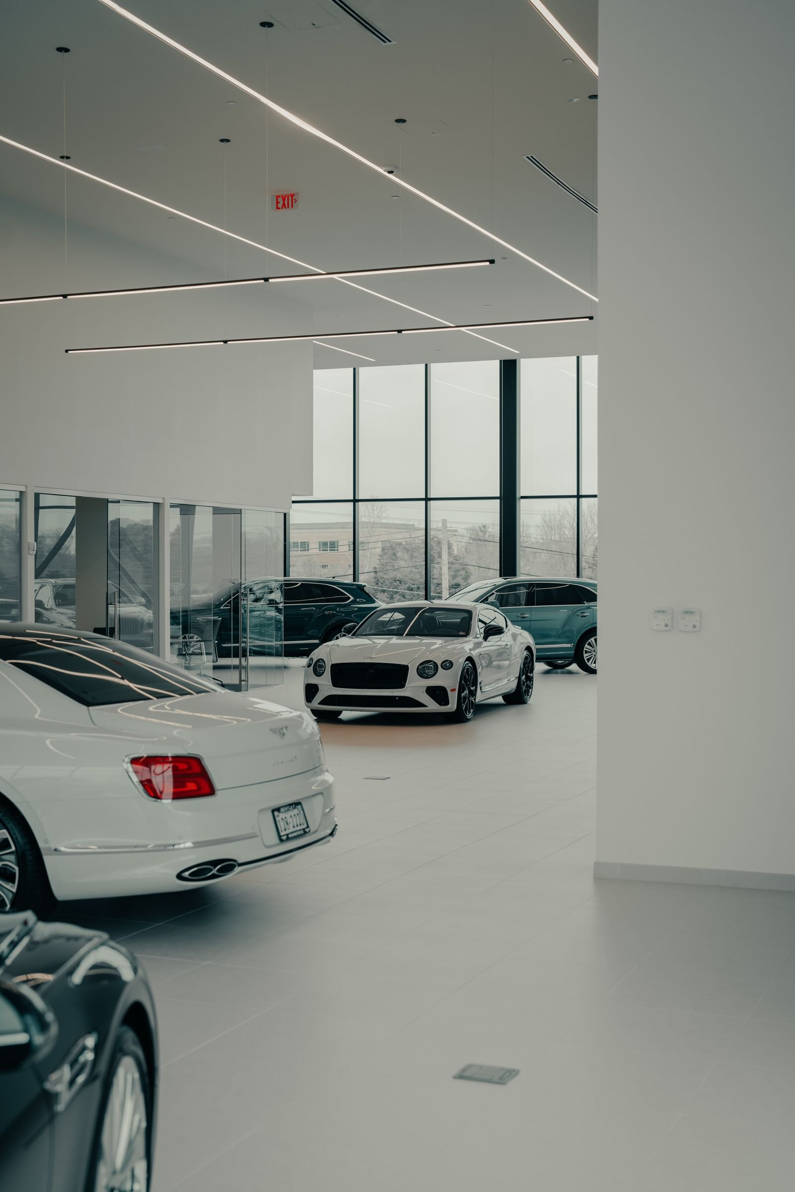 Bentley car dealership showroom, the kind of new vehicle buyer targeted by Tampa PPF installers